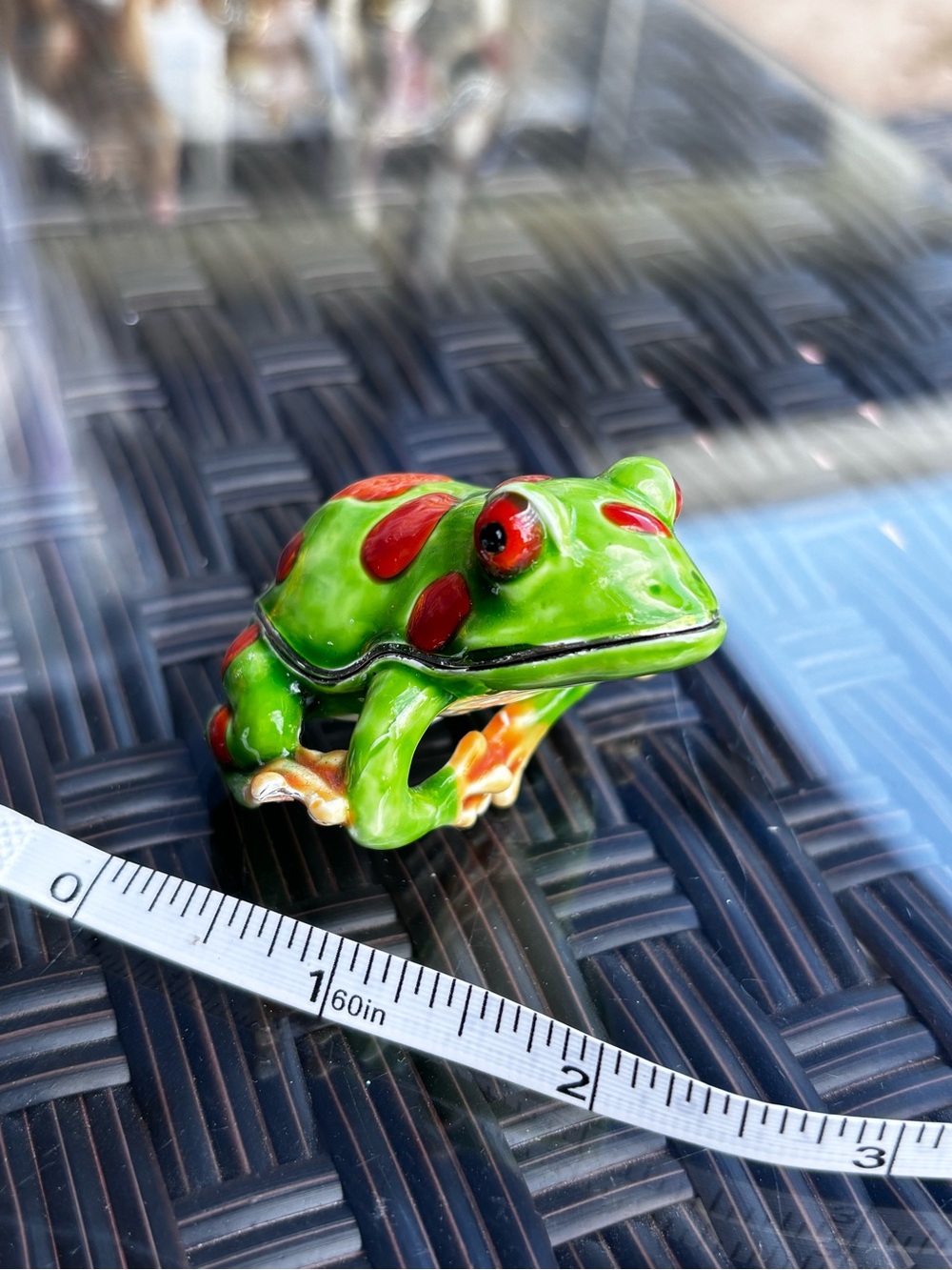 Green and red trinket frog
